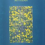 O Instante é a tua Face no Poema