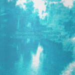 Vale do Neiva - Elementos Demográficos e Alfabetização no Século XIX